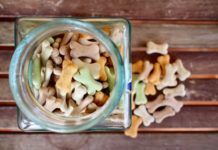 How to Store Dry Dog Food Long Term