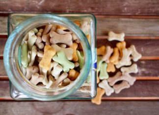 How to Store Dry Dog Food Long Term
