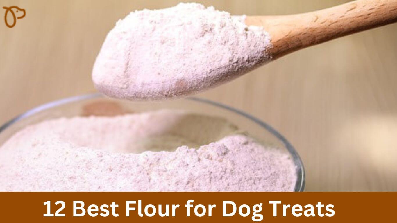 12 Best Flour for Dog Treats