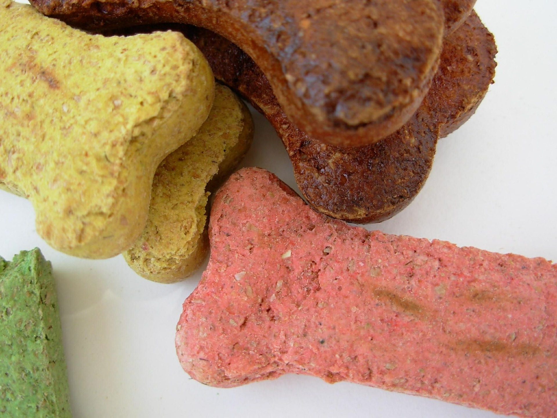 Best Dog Biscuit Treat Makers