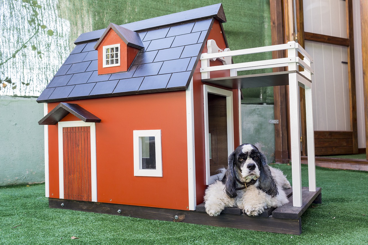 Best Dog House with Stairs and Balcony