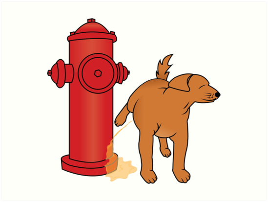 8 Best Fire Hydrants for Dogs to Pee On