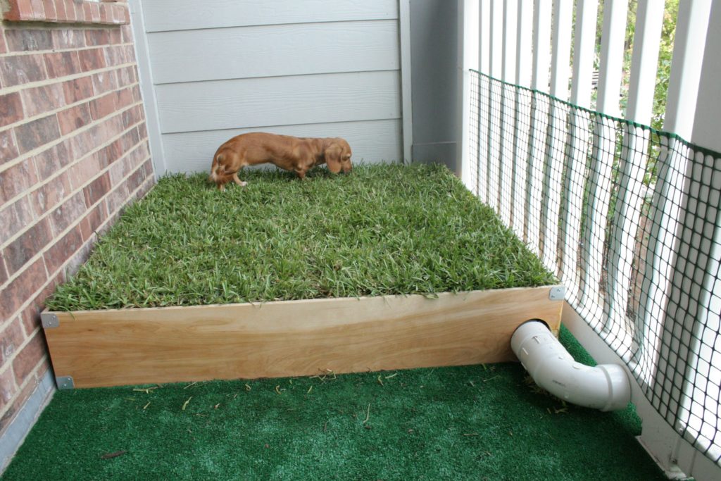 Outdoor Dog Potty Area On Concrete, How To Make Outdoor Dog Potty