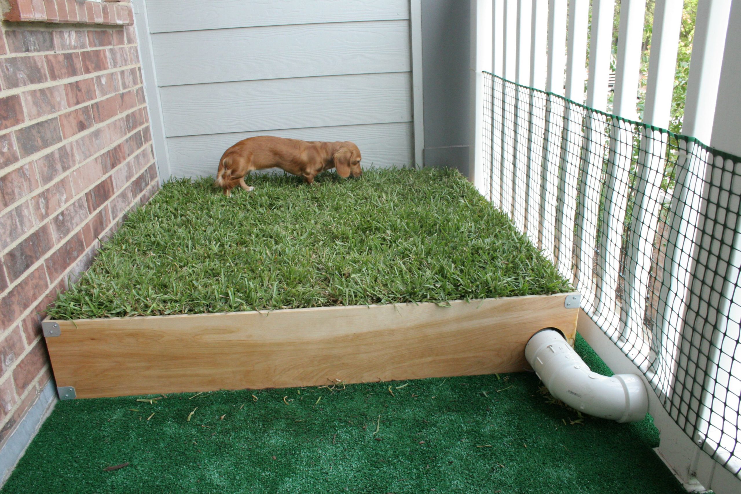 How to Build an Outdoor Dog Potty Area on Concrete