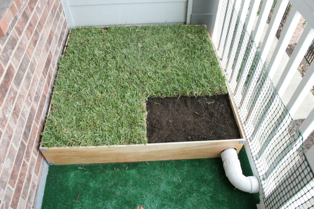 Outdoor Dog Potty Area On Concrete, How To Build An Outdoor Dog Potty Area On Concrete