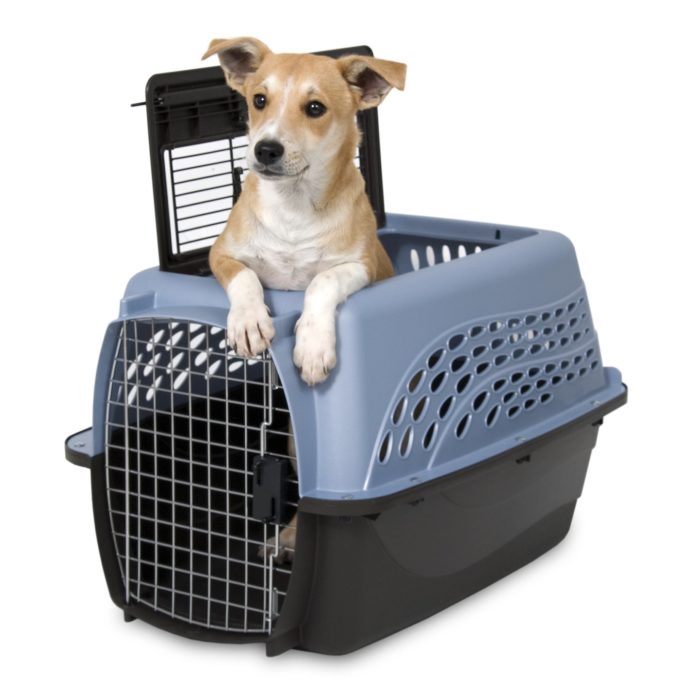 Dog Crates with Dividers