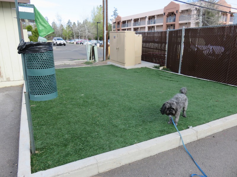 Outdoor Dog Potty Area On Concrete, How To Build An Outdoor Dog Potty Area On Deck