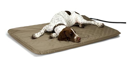 Best Heating Pad for Dogs with Arthritis