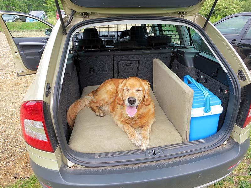 15 Best Dog Beds for Trucks