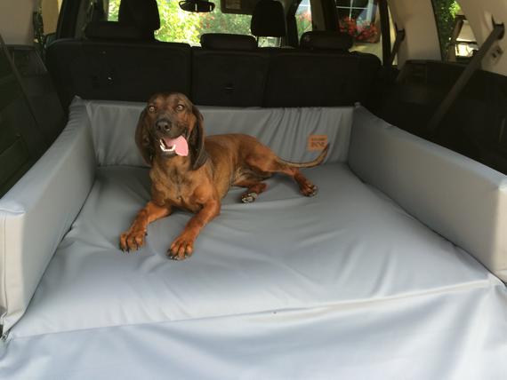 15 Best Dog Blankets for Cars
