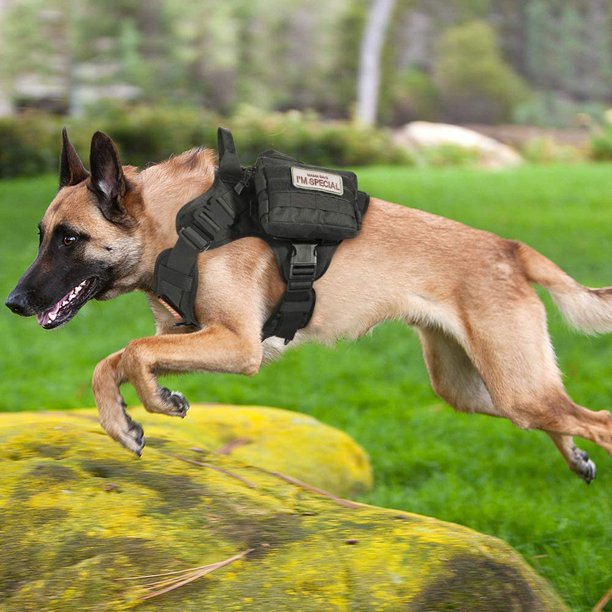 12 Tactical Dog Harnesses with Pouches