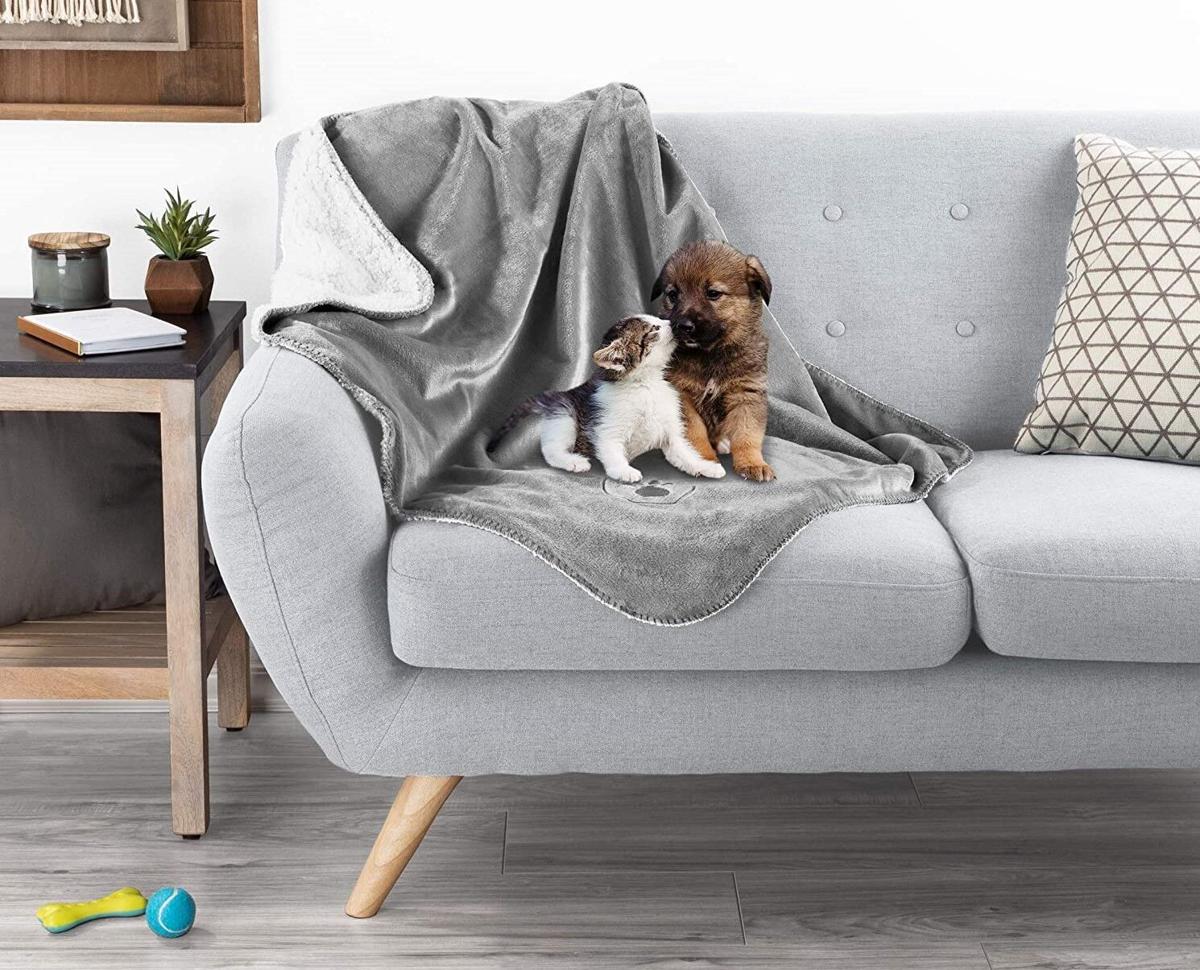 10 Best Dog Blankets for Couch