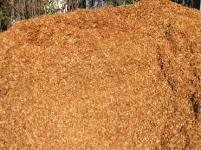 Cedar shavings outlet for puppies