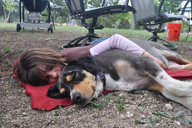 do dogs sleep with their favorite person