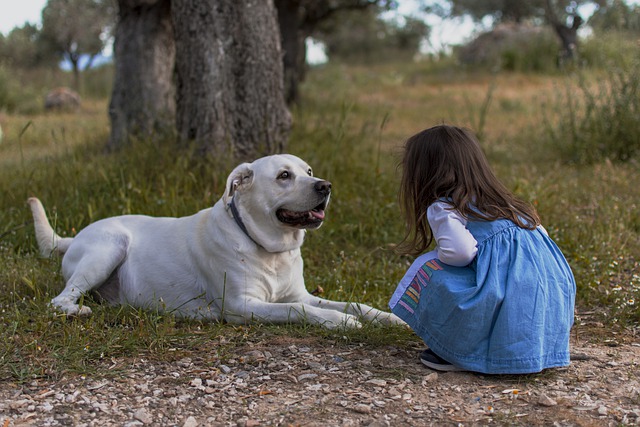 Where Did The Term Nanny Dog Come From