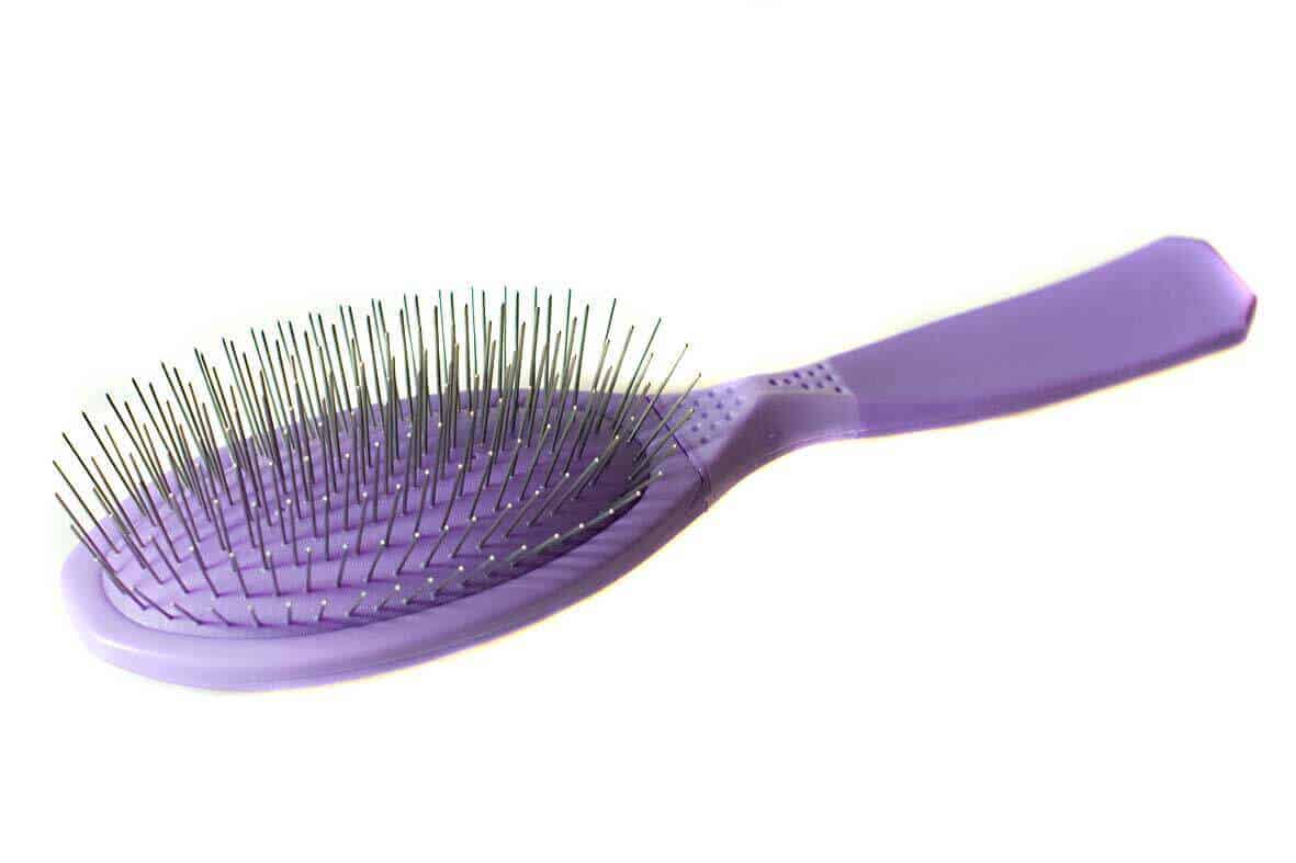 10 Best Pin Brushes for Dogs