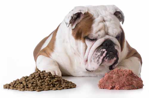 How Much Ground Beef To Feed Dog?