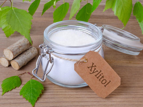 How Long Does Xylitol Stay in a Dog’s System
