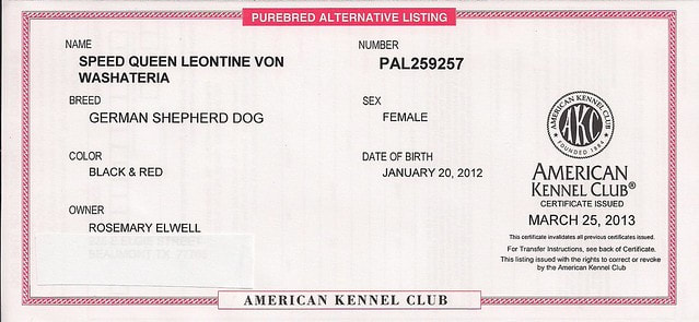 can you register your german shepherd with akc without papers