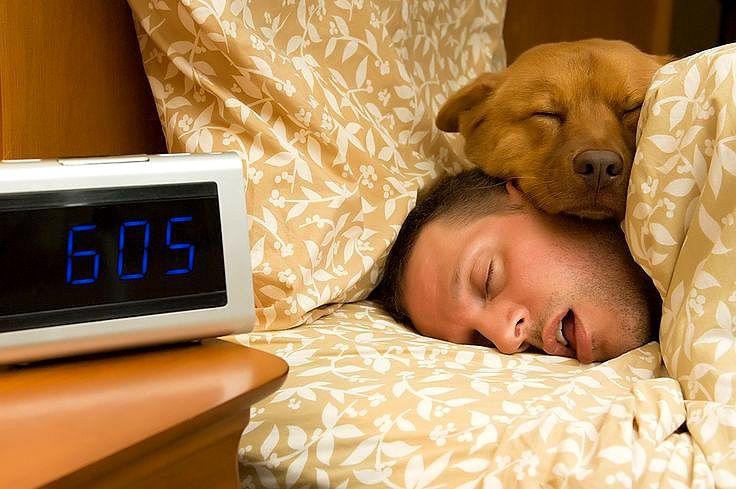 Do Dogs Dream About Their Owners?