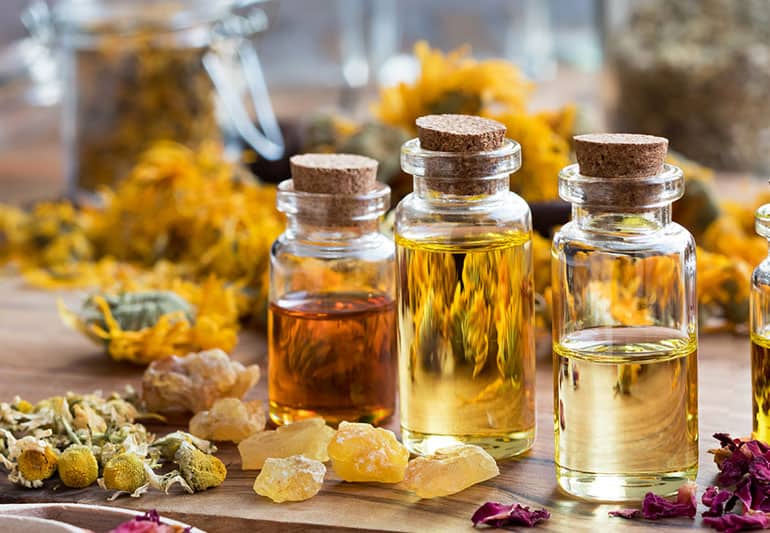 13 Essential Oils for Dog Seizures