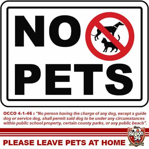 Where Are Service Dogs Not Allowed?