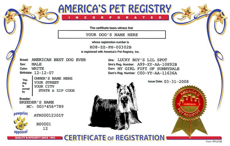 Most Popular Dog Registry Organizations