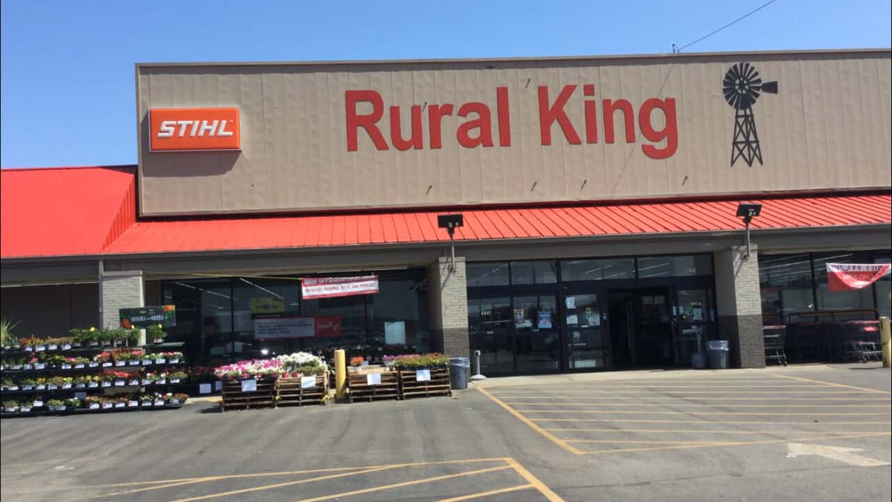 Does Rural King Allow Dogs?
