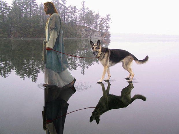 Did Jesus Have a Dog?