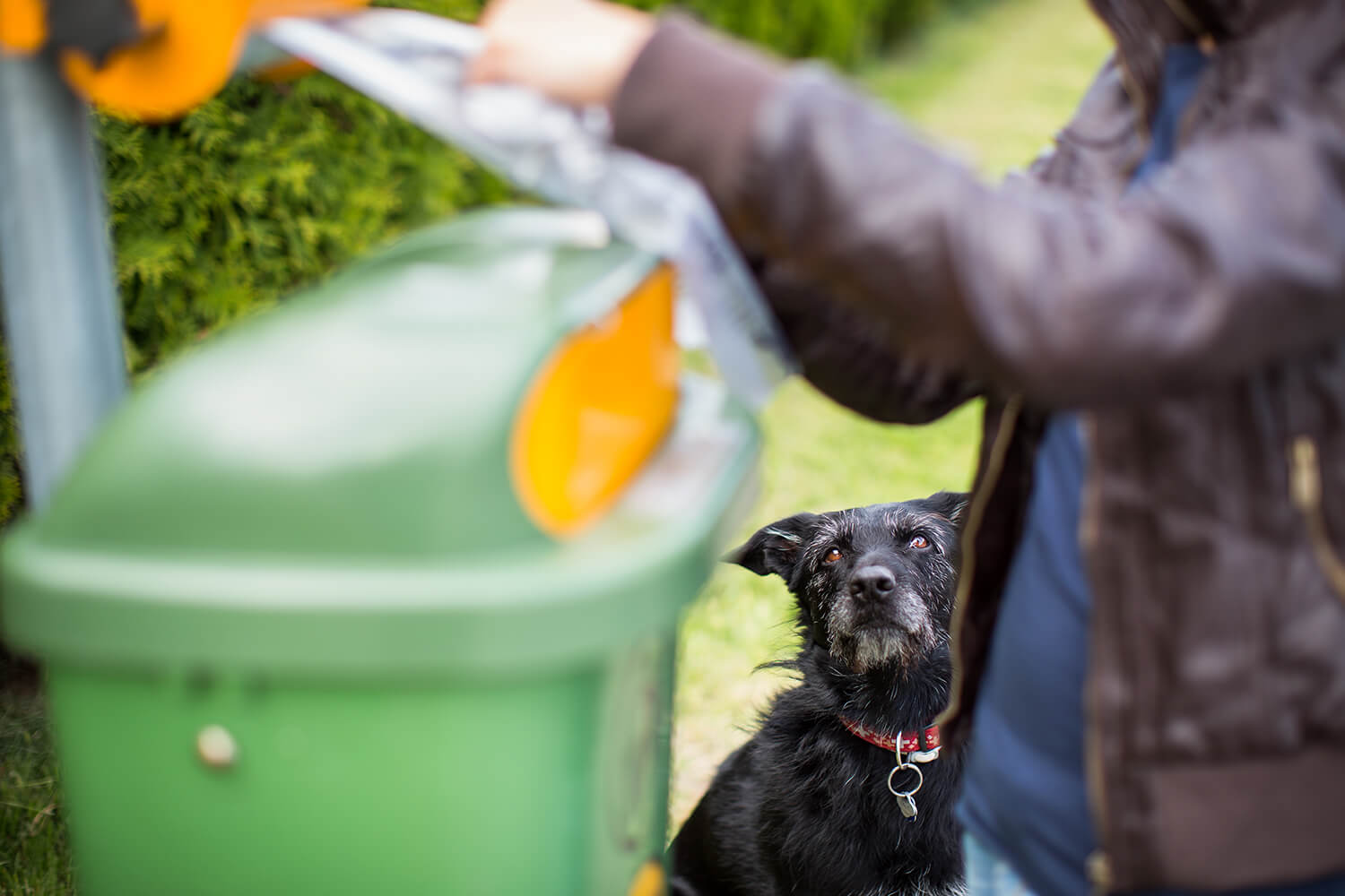 Is It Illegal To Put Dog Poop In The Garbage?