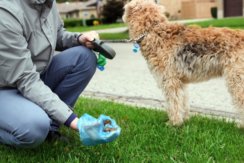 Do You Legally Have To Pick Up Dog Poop?