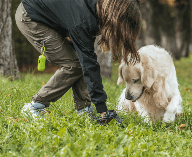 can i leave dog poop in my yard