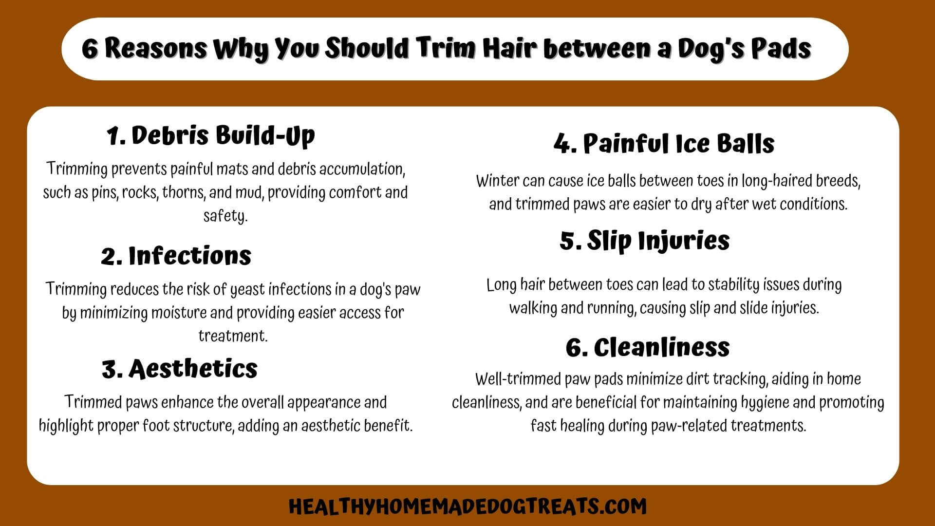 6 Reasons Why You Should Trim Hair between a Dog’s Pads
